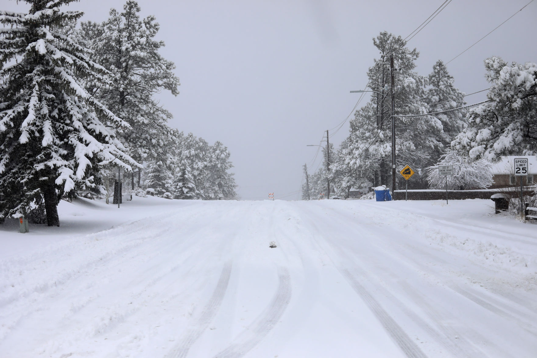 Snow on Black Friday